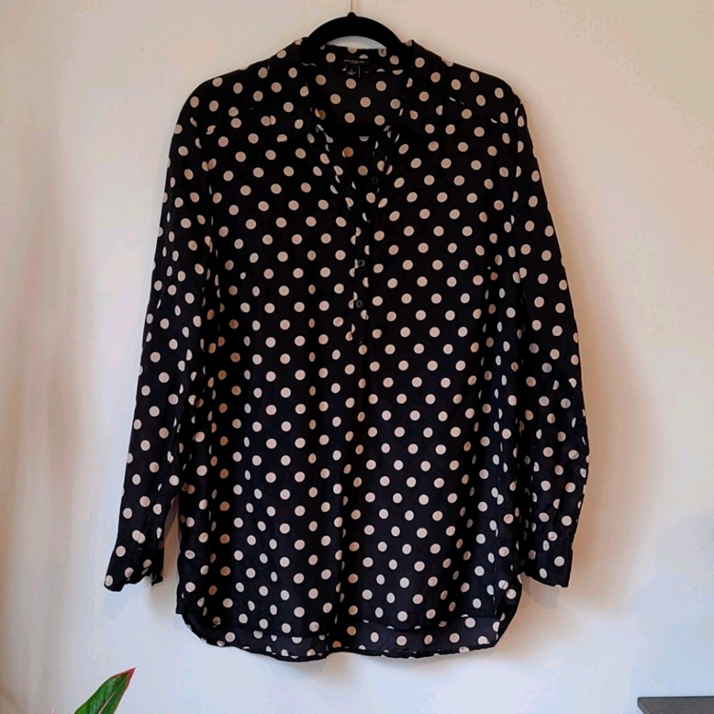 Ann Taylor Long Sleeve Blouse Large